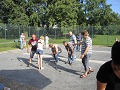bild1.jpg