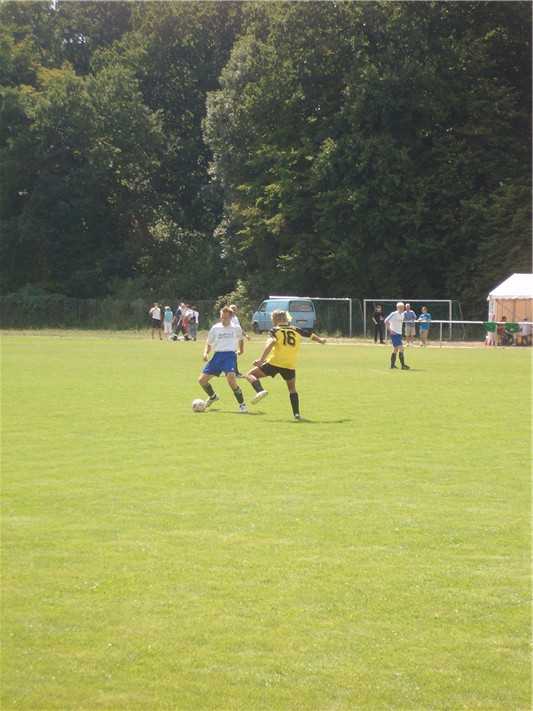 100b2225.jpg